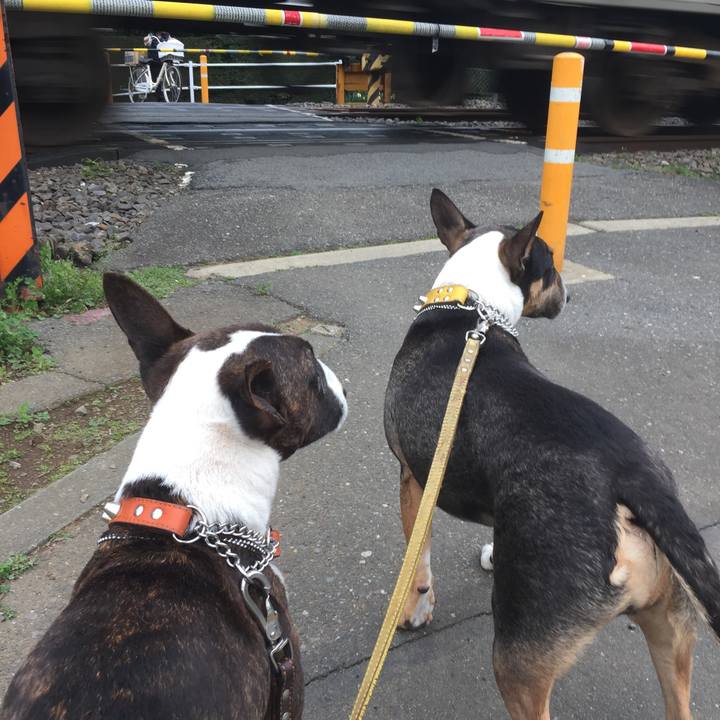 D686b313 8eae 4a1f a8b9 dc19754b1f1a