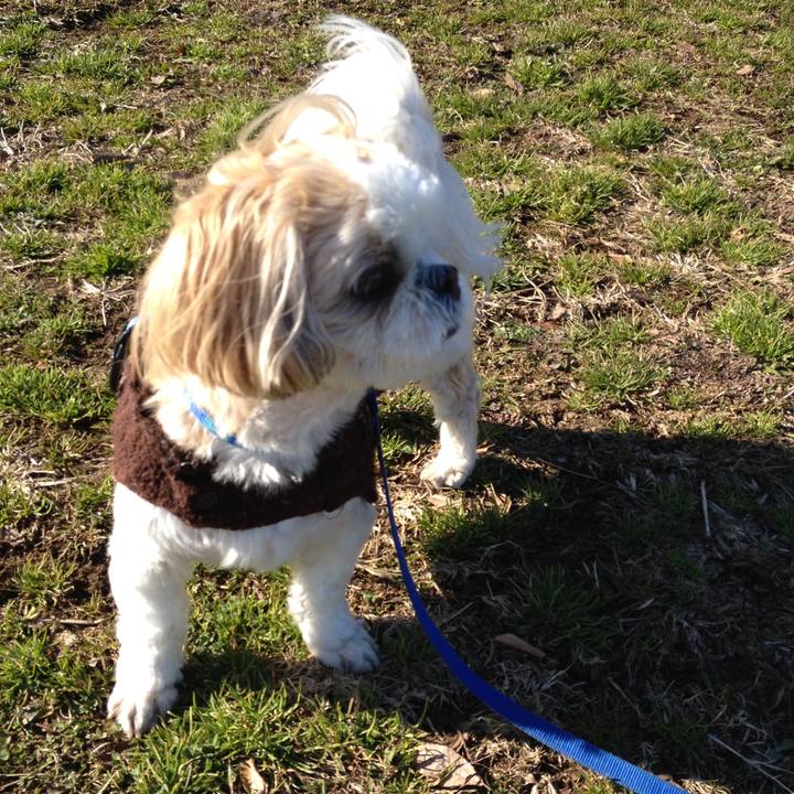 D6870a4c 2556 4e05 804a bc7fc912c1a6