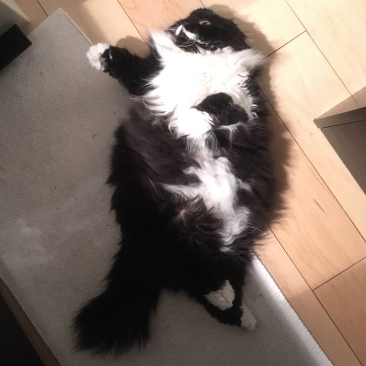 D6874342 4b88 4c7d bf43 3e7f497ee4d6