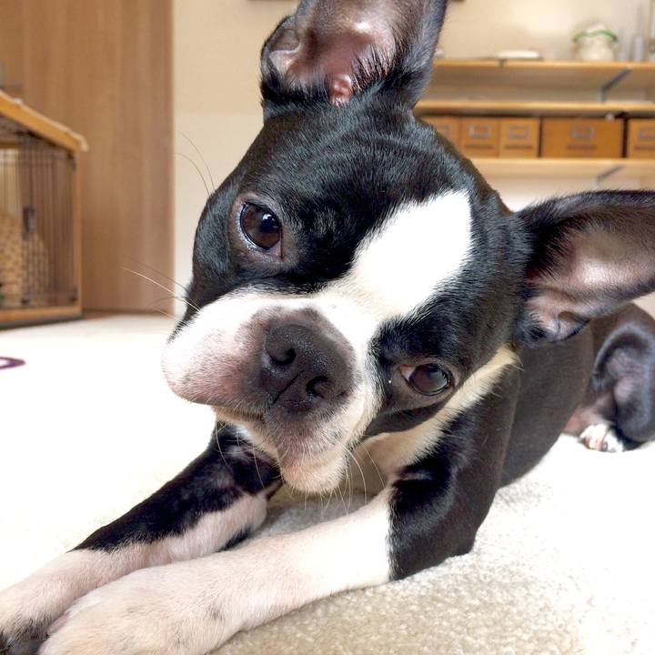 D6878799 abb0 47ff a63f ce743aa0e76f