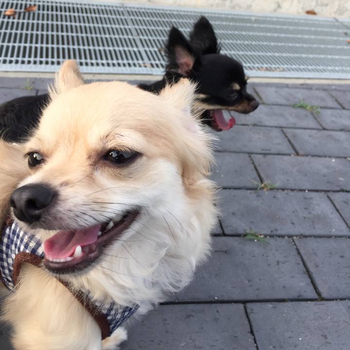 D6879dbe 0212 4cb1 9a7d 623c5c7ba09a