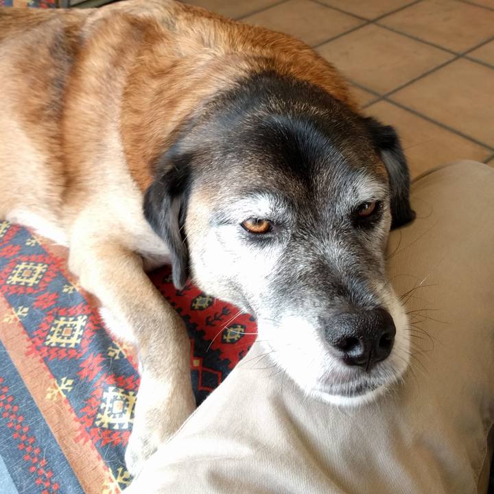 D688a80a a3b8 4580 bbde 362c4c805c9a