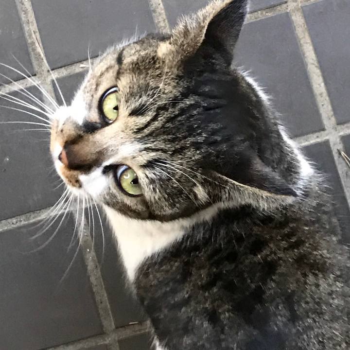 D688f682 f20a 4c98 a7f4 1116a1493b49