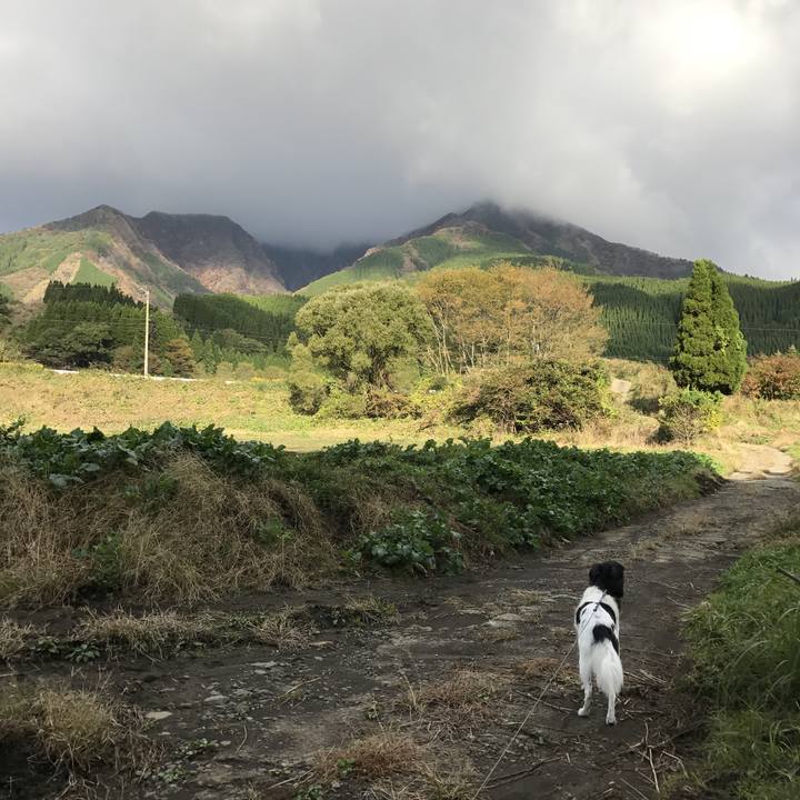 D689007a c17f 483b b1c1 c815b95b3420