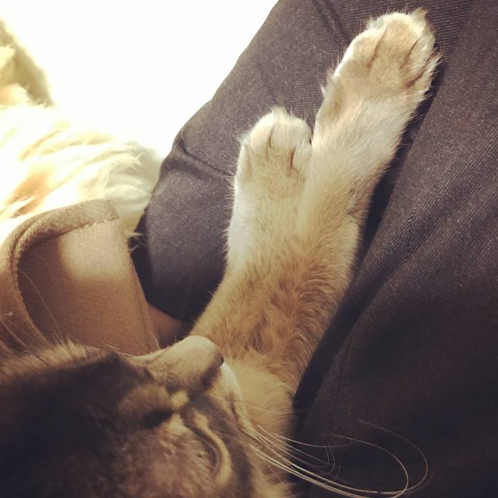 D6891fde 98e4 419e b1ab a9a5d4db8ecb