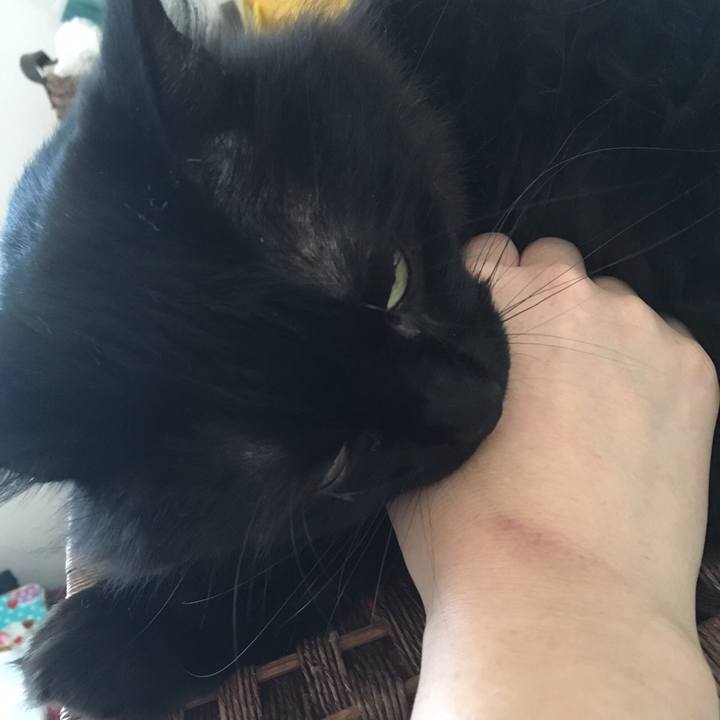 D689d00a eae8 440a 9829 cf7589c3da7d