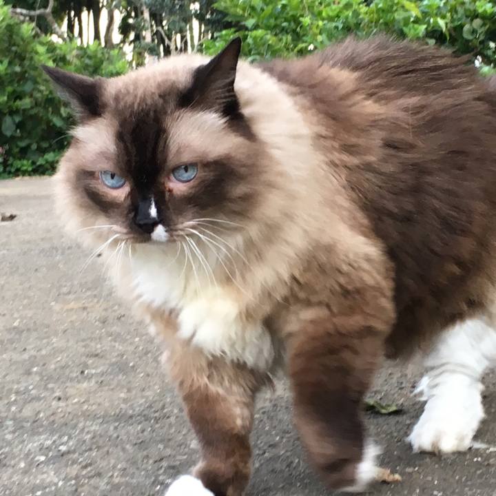 D689ff3f 0495 44f4 8f10 370b92d6a6e4