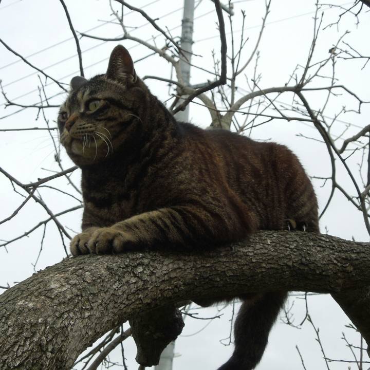 D68b5692 d783 42a5 acb5 744f6fb5325f