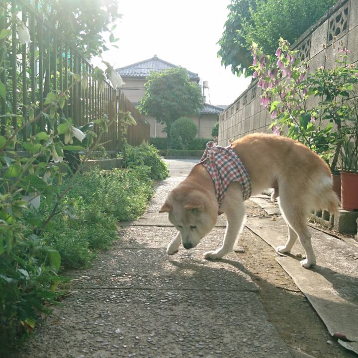 D68bb249 579c 4247 bbaf cb9d9e34fc00