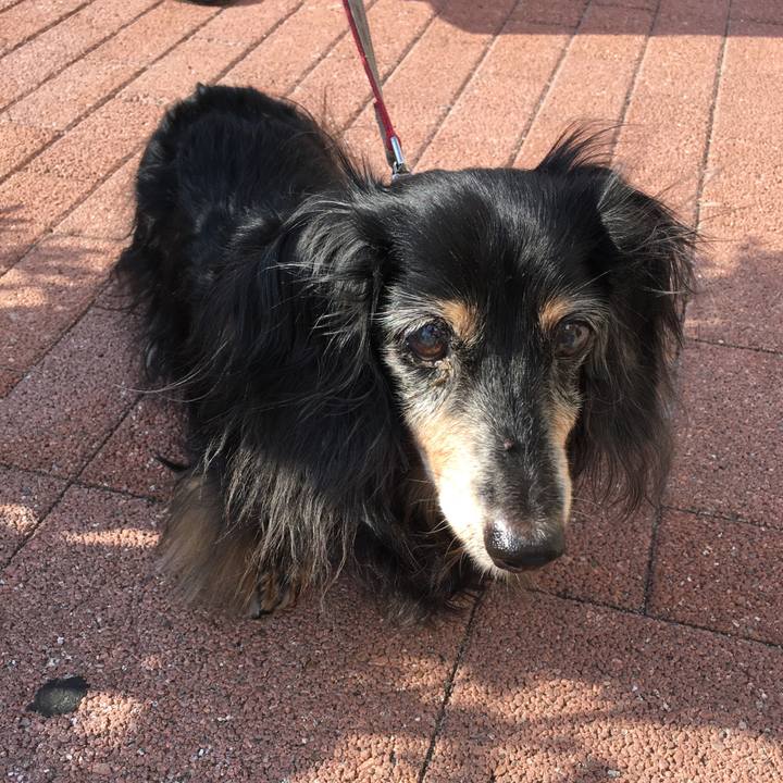 D68c041a 615b 48d5 938d 6c43d5ef9b05