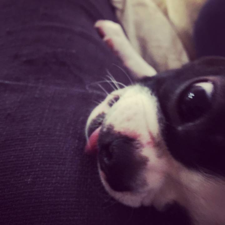 D68c1252 1634 43dc aba5 34949c938146