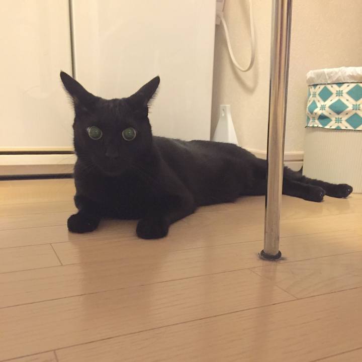 D68c1906 9661 476c 8cfa 146298d32f60