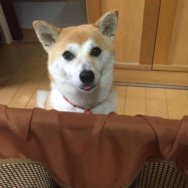 D68c2abc f110 472a a1f4 5bbbbb006cb4