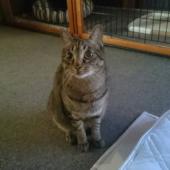 D68cb2ec 7782 418c a07f f9e8296b393e