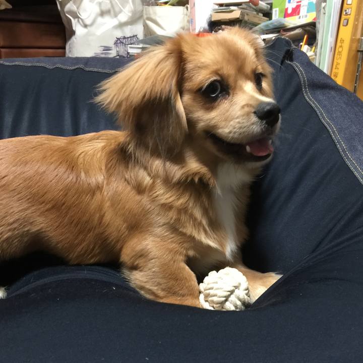 D68ceaab 1157 477a 9b7b 2b681238ad44