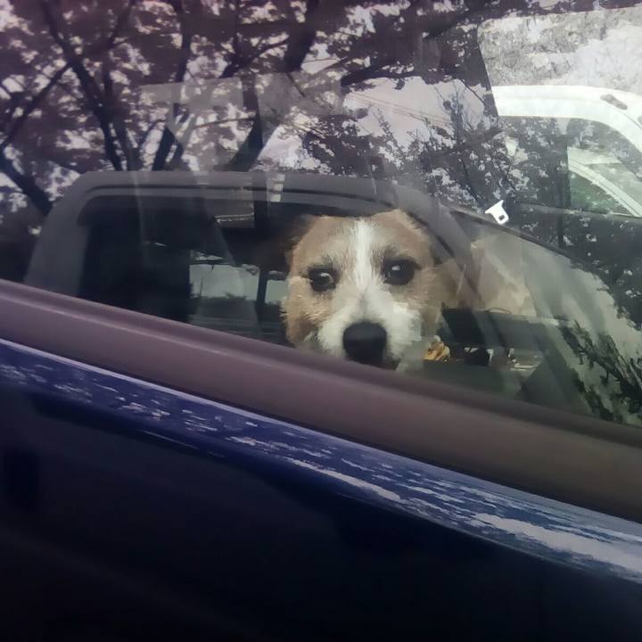 D68d140b b61e 465f 81e3 c3f044e07152