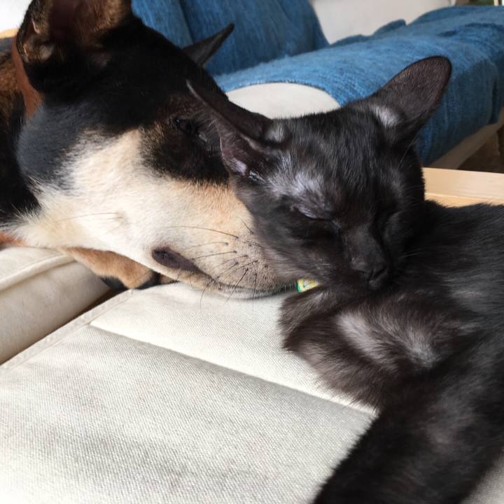 D68dfcef 0874 461a a82e a6ed99381e09