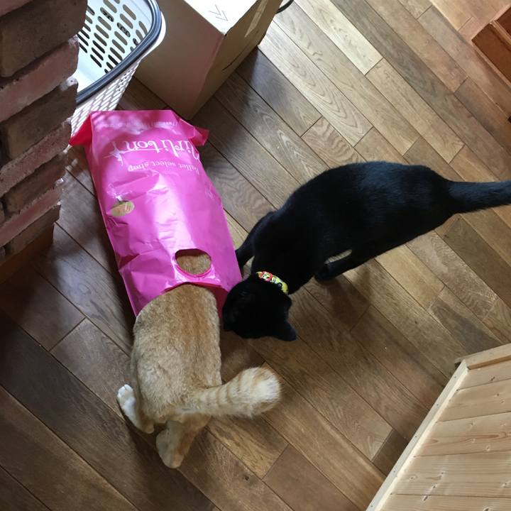 D68e41d8 7b49 4c7b 9f30 6d189abb9806