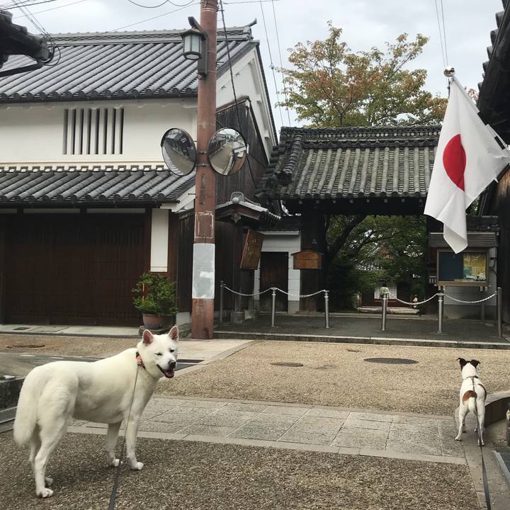 D68e6499 1572 4d2f aa53 ef0391407ddc