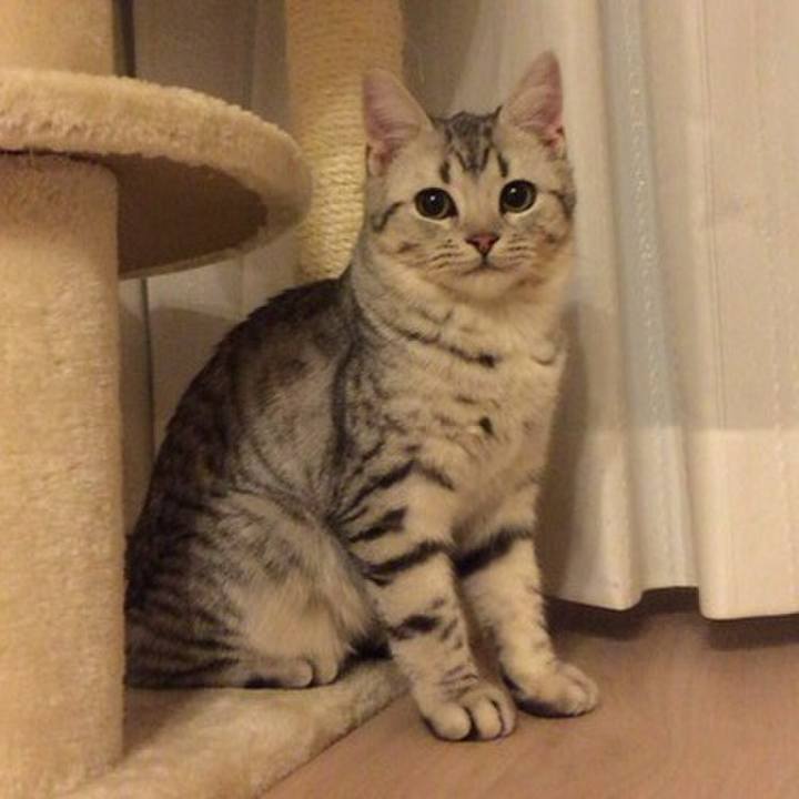 D68f4907 a9ec 4865 8b80 b8cb7ef32f7c