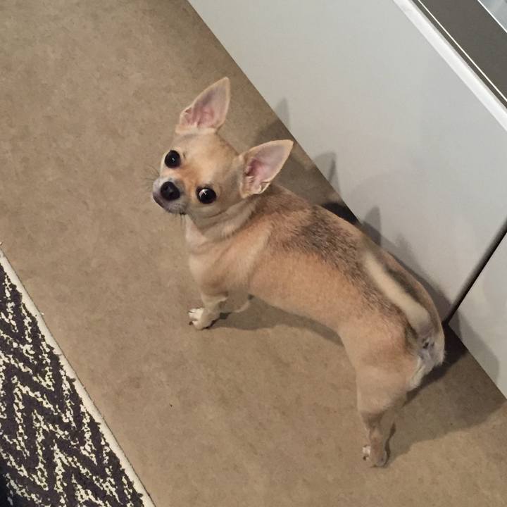 D68f9891 aba2 41c8 9ab4 8b49ed75bbaa