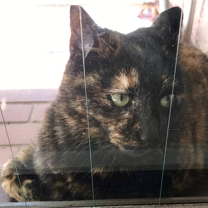 D690a9b5 7812 4447 a1d4 fde587017dae