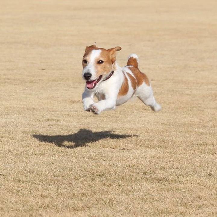 D6918716 5293 49f7 8477 8250dd3ff962