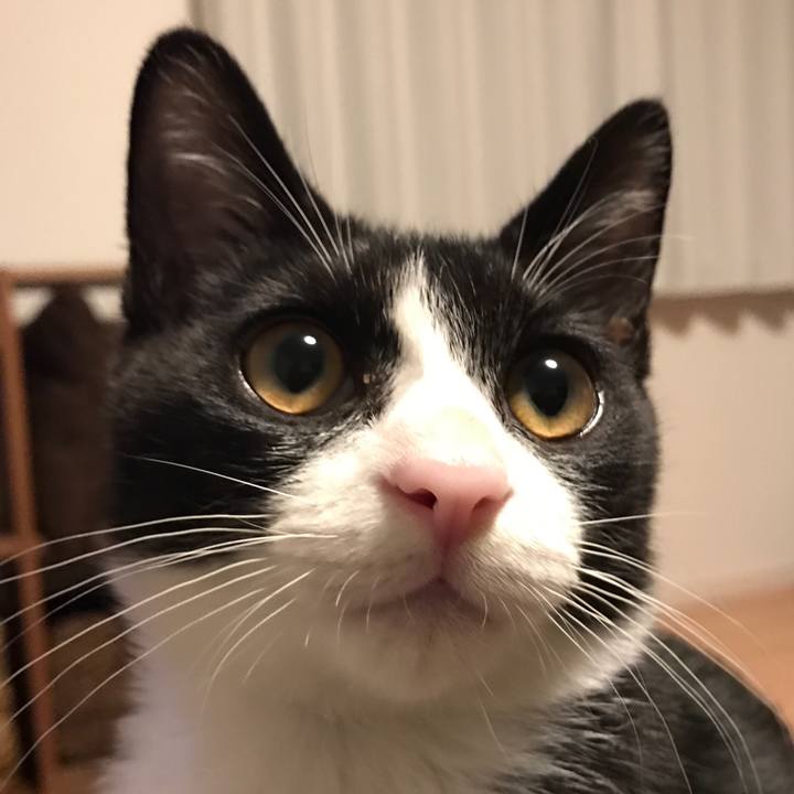 D6921649 7192 479f abbb 6dcdf051476c