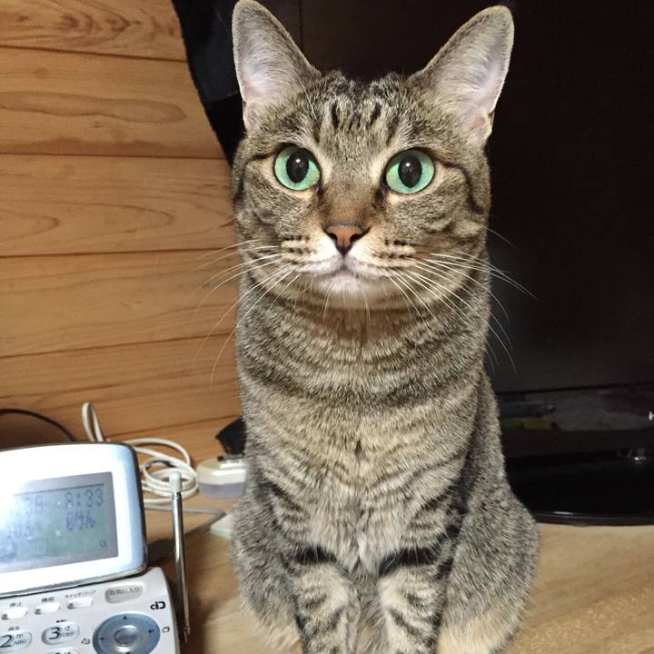 D6924fed b059 4927 af7d fe204659264f