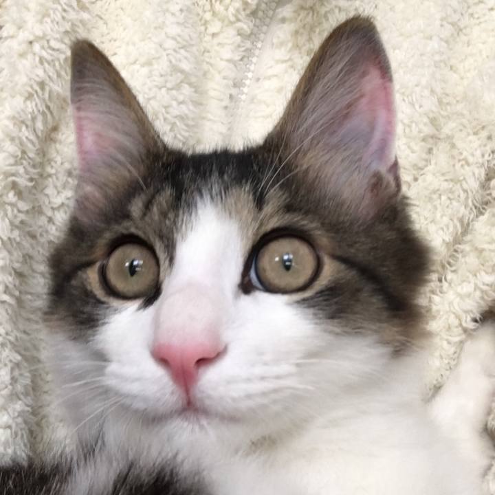 D6927a82 8bd5 482c ae63 d9d30064e9aa