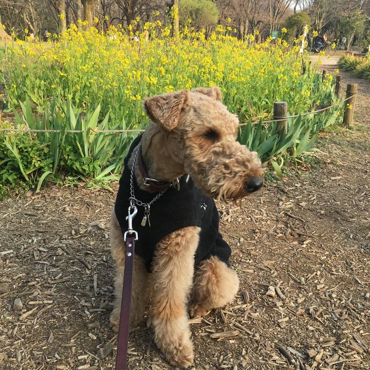 D6929b10 8a32 4c52 86f9 ccd9343126f5