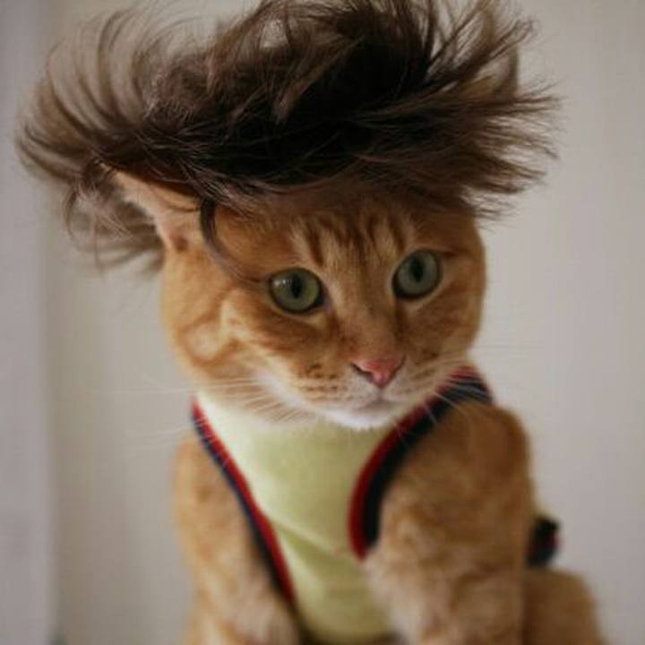 D69402ae 36a7 4139 9b1b a4db553dc415