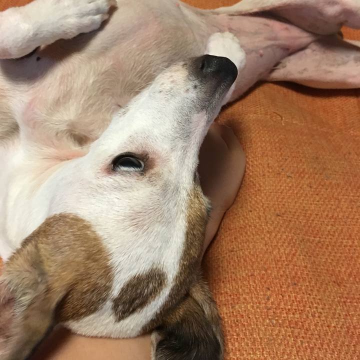 D6940f2e 290c 444d 938e 2be217272ccd