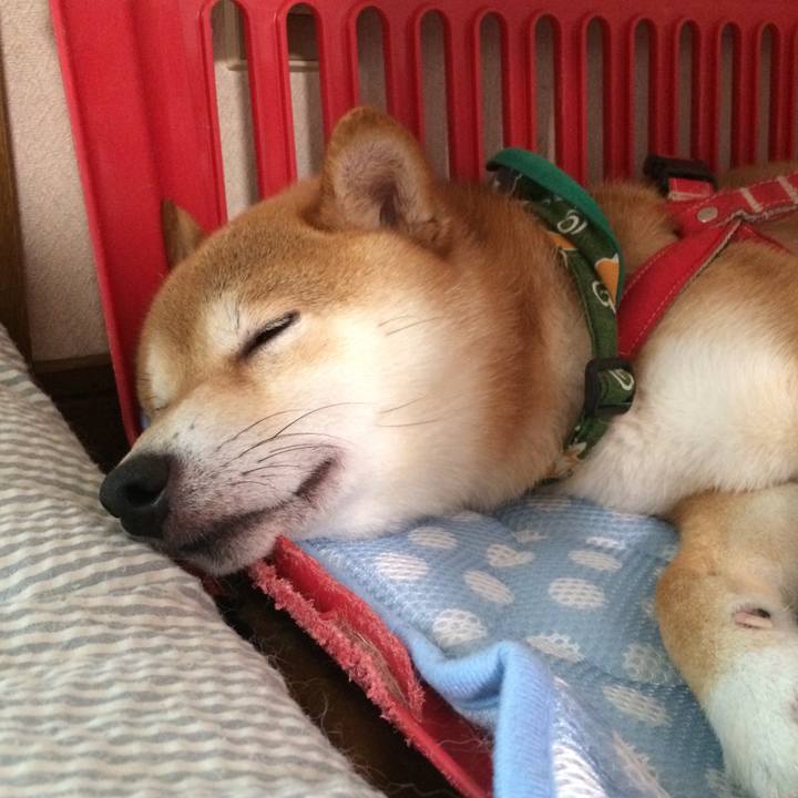 D694f0e9 e4c5 4f99 a96f 8347a77c6101