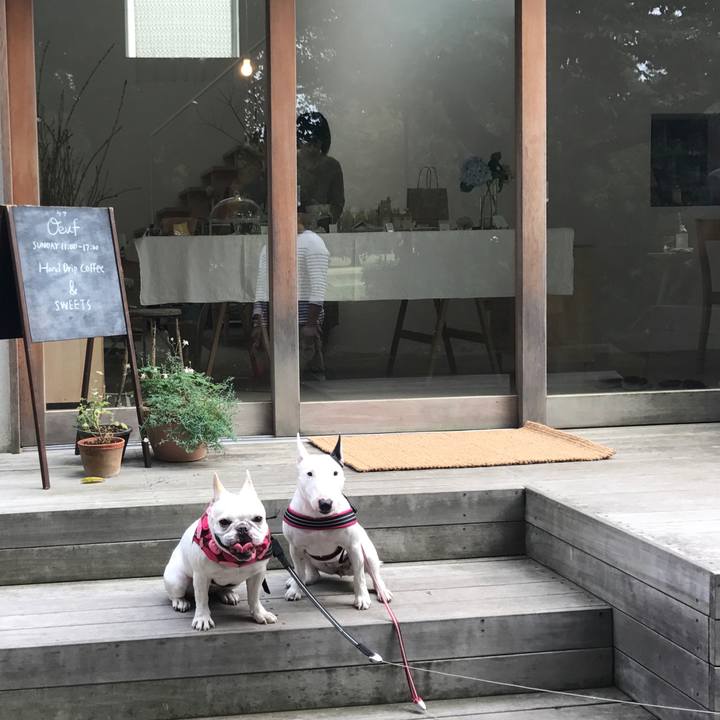 D69540d2 c5dd 4a05 a2ab d70001ea1fdb