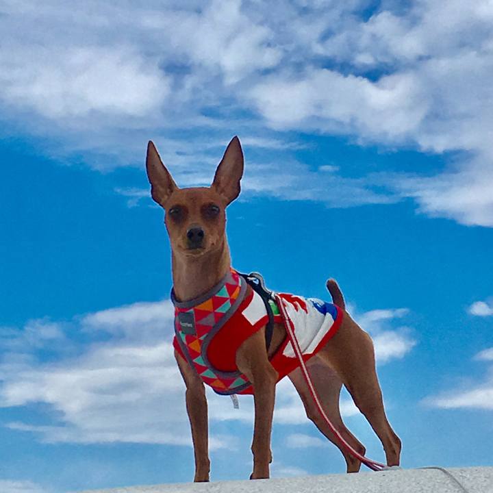 D6957991 3085 430b 94ec 44d1bbcbcce8