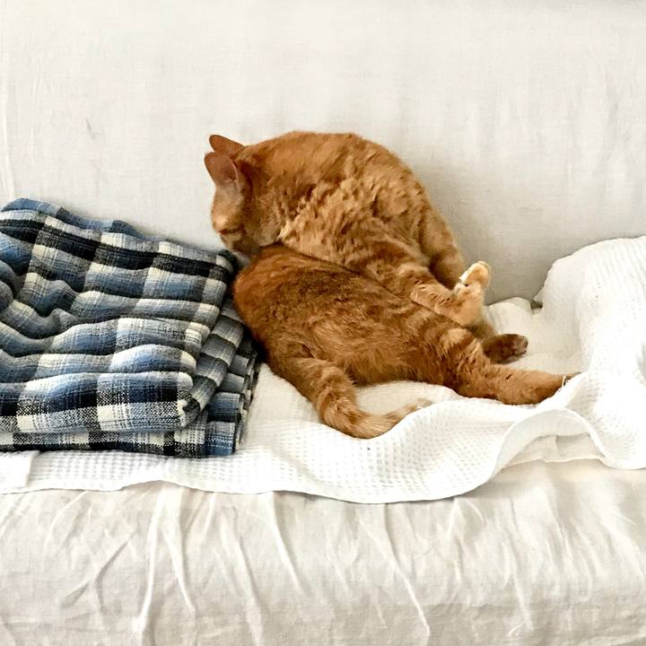 D6963fec 0629 4e3a 908f e6cbfab1de2c