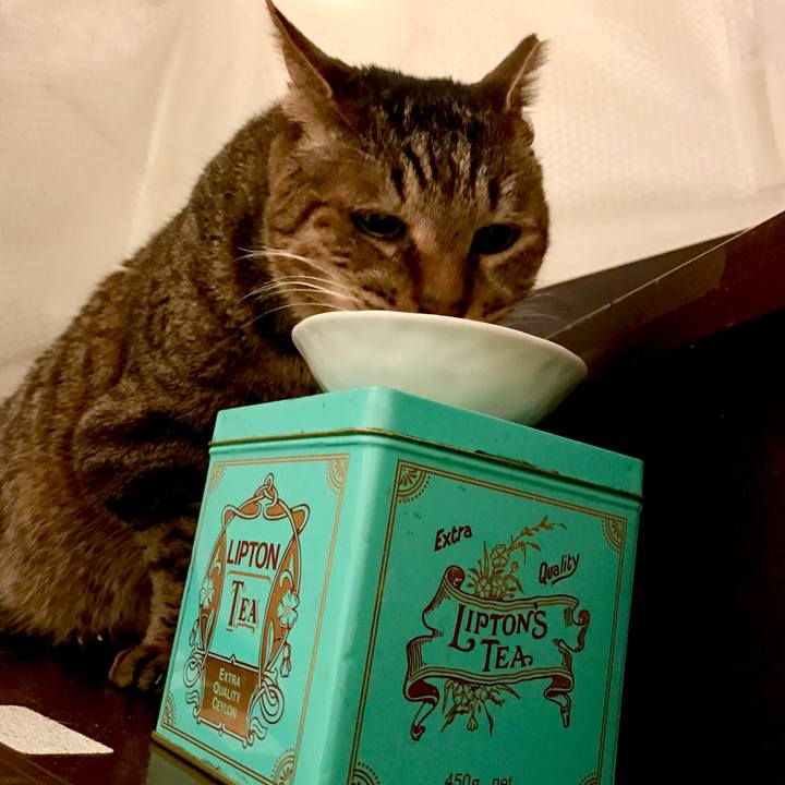 D696926d c454 4361 973a db39db013465