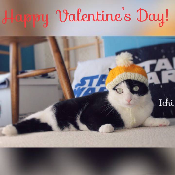 D697090d 3159 4868 a7b0 2edddddd5d6c