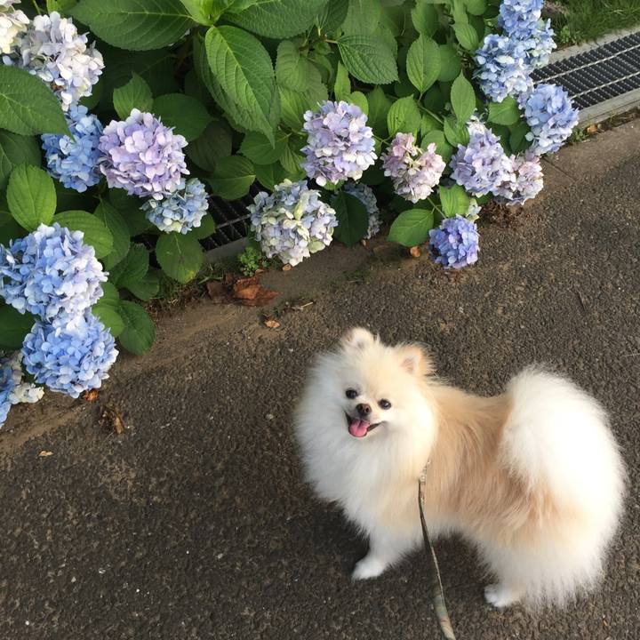 D6972186 51b2 49bb 8777 6f0d348efa12