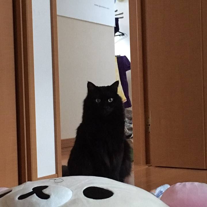 D6975a7b 1268 496e a176 a24734736529