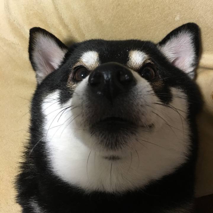 D69791b9 3a1a 4b7f a539 6acb0e3caa14