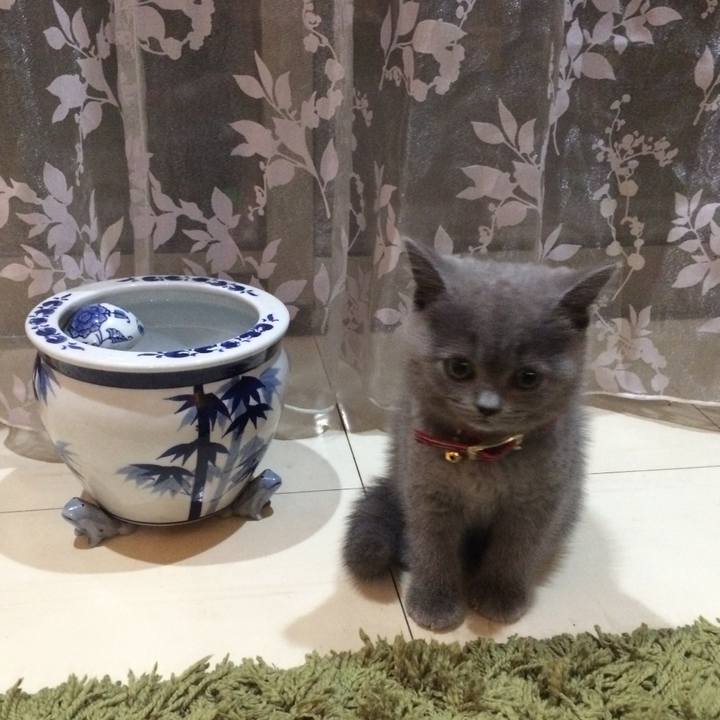 D69870a2 1468 4386 8d3e 54367c7576ba