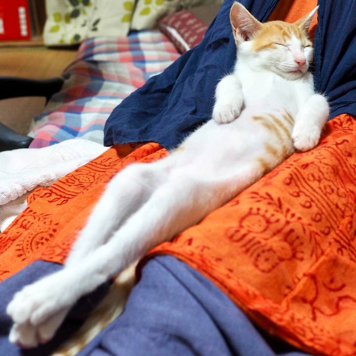 D698d9cd bed2 4001 b05c 30ebd5e7bfa7