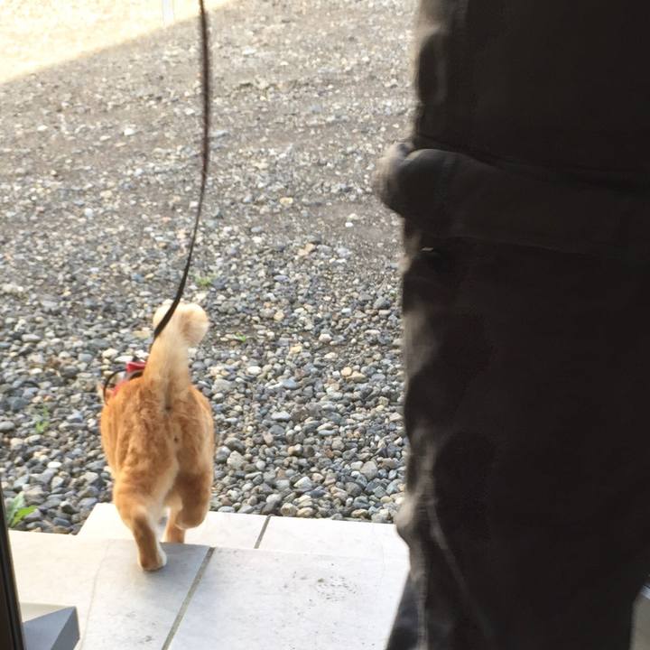 D6995042 01e0 40b8 8439 79bdc77013cf