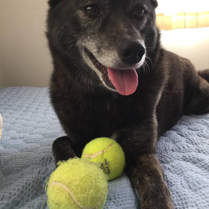 D69996ba 3d41 453e 9309 7bbc7bce8328