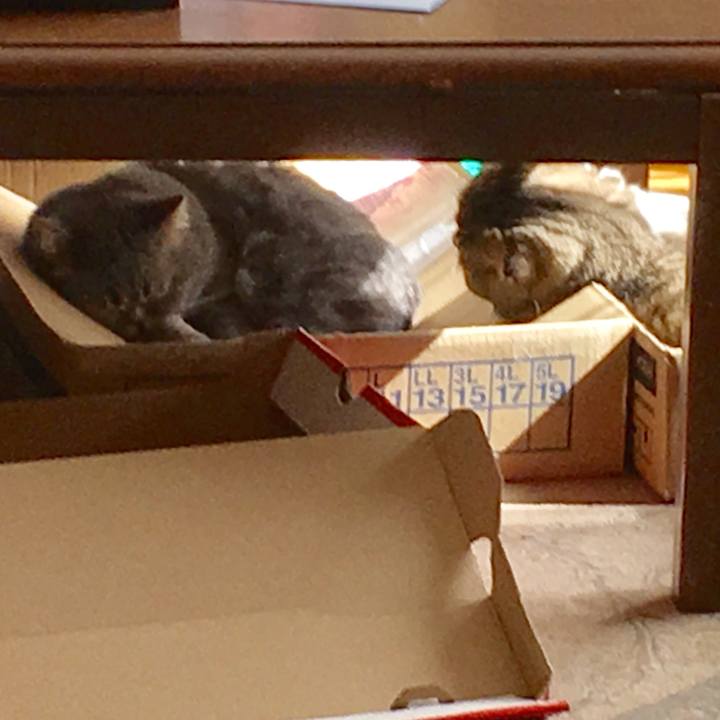 D699a728 2dbb 4cdf 8ffe a452767e28e4