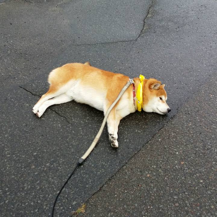 D699c505 4ddf 4d23 a4f4 97ab604ac007