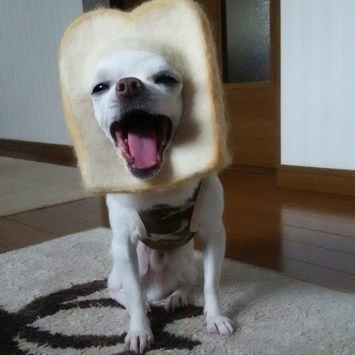 D69a05b0 5eb6 4c2f abaa 23bfdbb4ff38