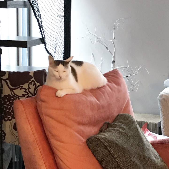 D69a9c68 3336 4110 a866 ea03782f151c